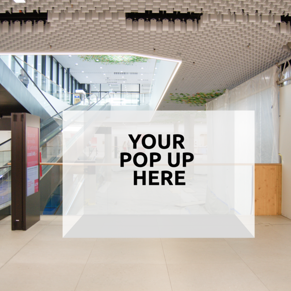 Centro Serfontana, Piano superiore C005