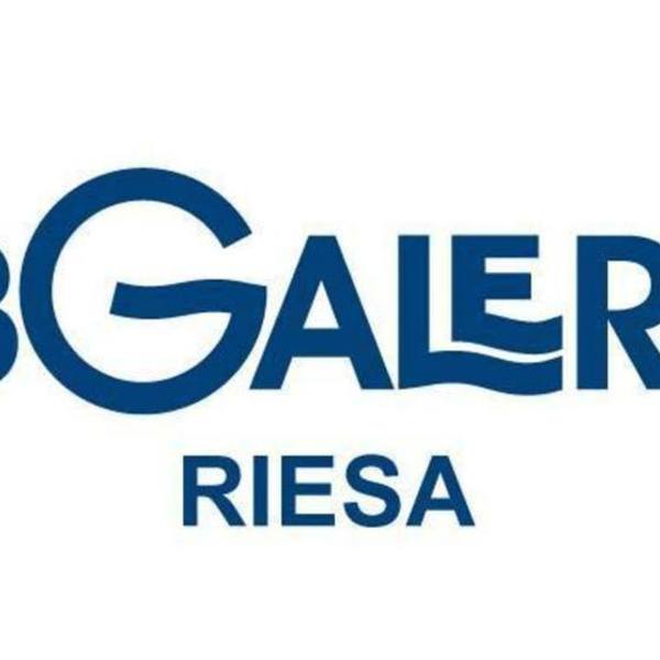 Elbgalerie Riesa