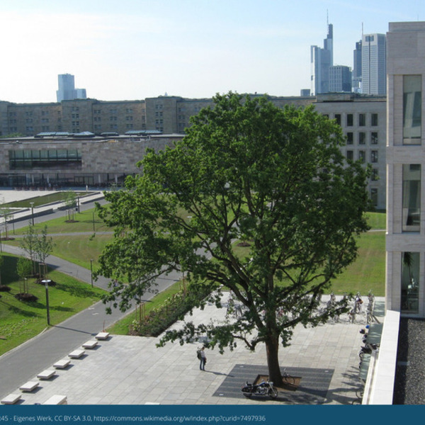 Johann Wolfgang Goethe-Universität Frankfurt am Main (Campus Westend)