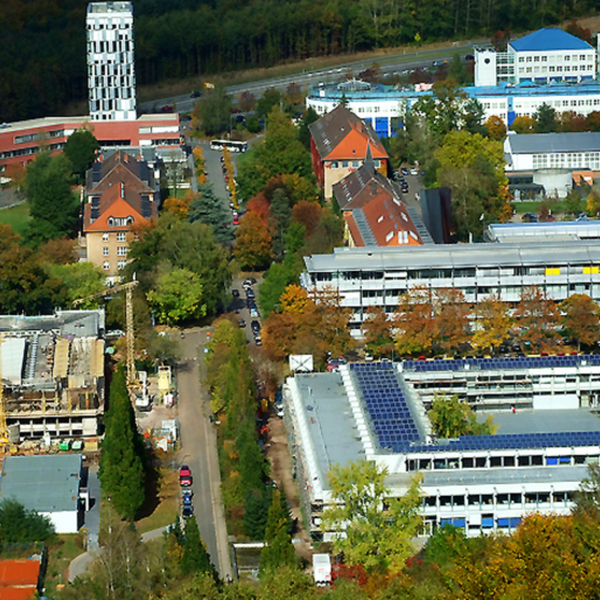 Universität des Saarlandes