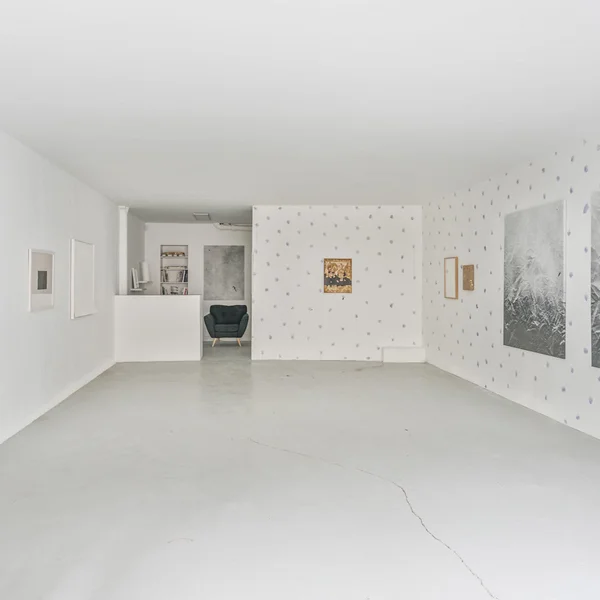 Harmonious Gallery Space in 7th District