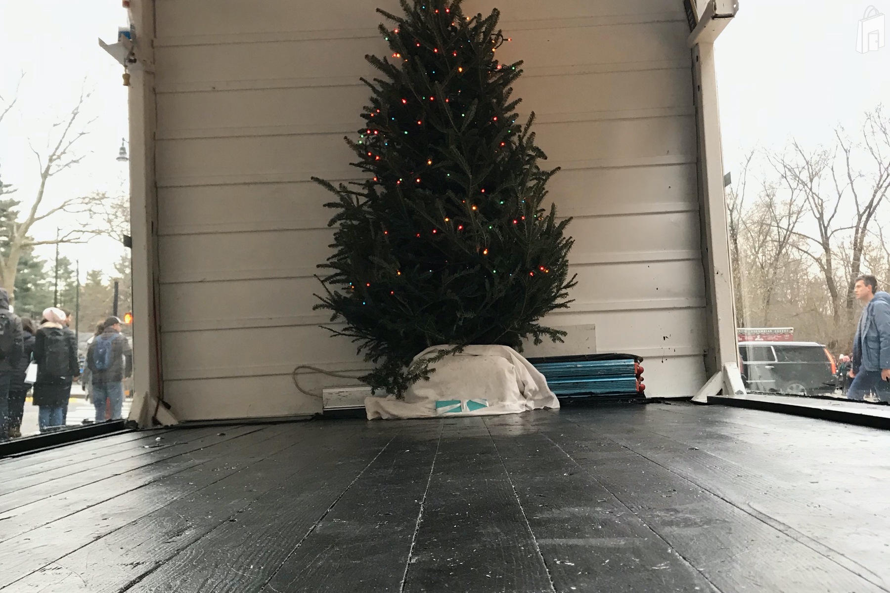 Christmas Tree Lit Up 