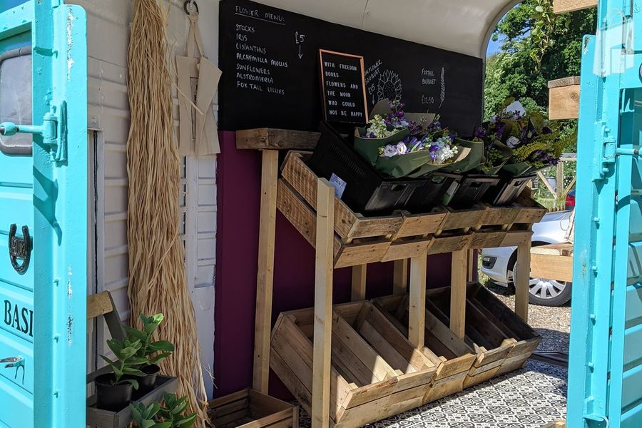 Inside The Flower Box