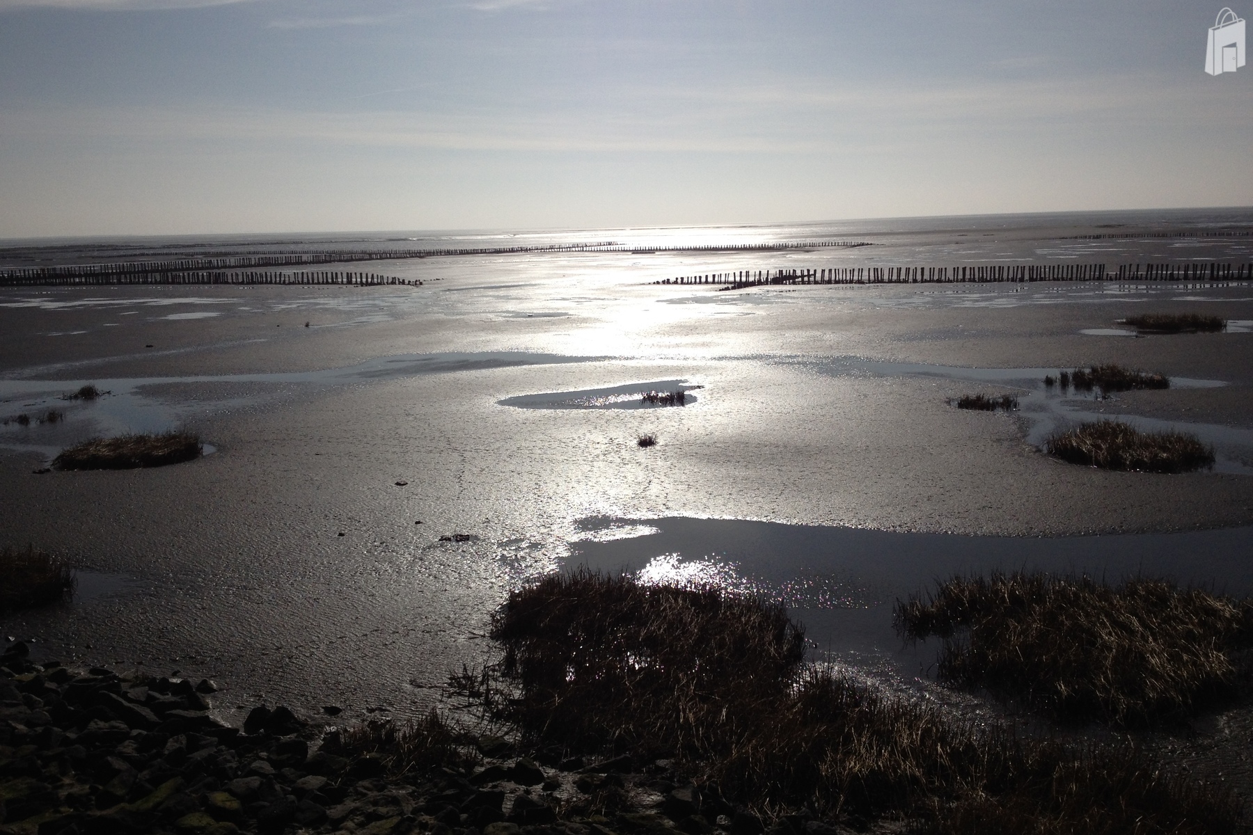 Wattenmeer