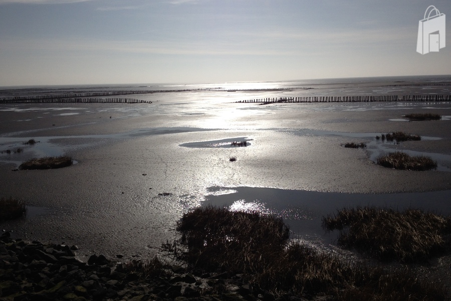 Wattenmeer