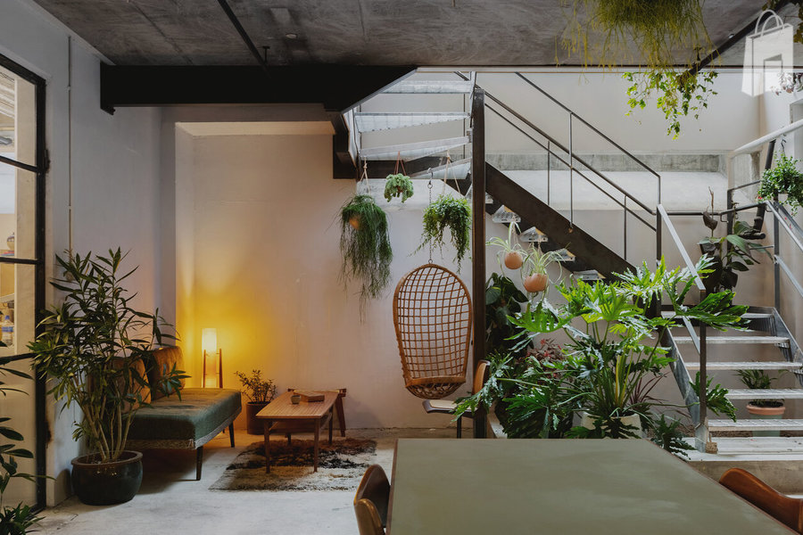 Lower Ground Floor— Daytime