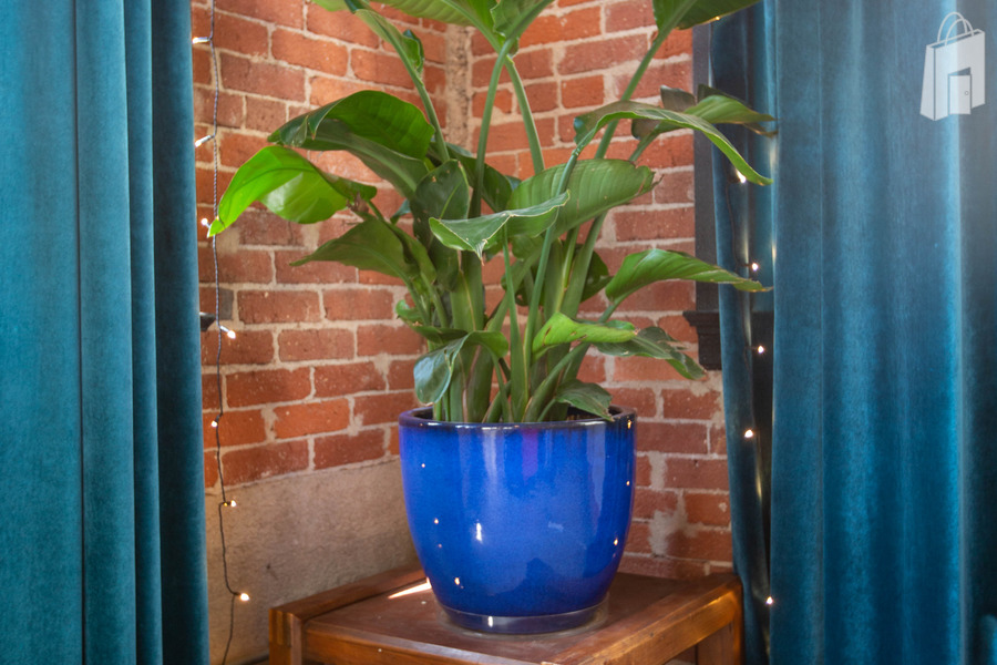 Big Time Studio Loft