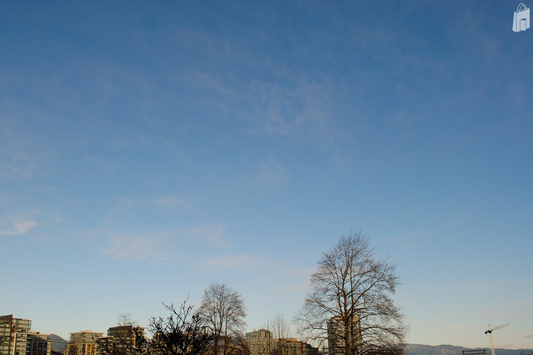 office_ south patio view