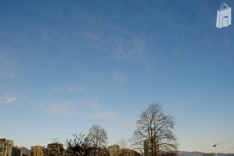 office_ south patio view
