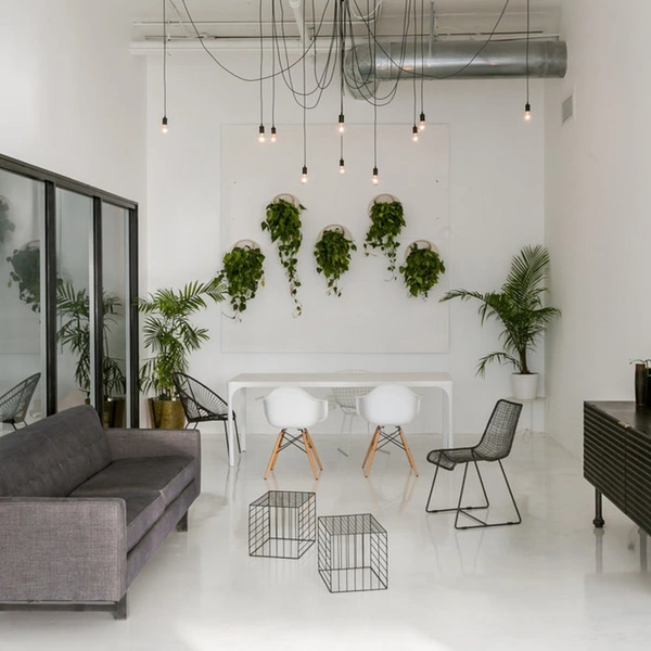 Contemporary Spacious White Space