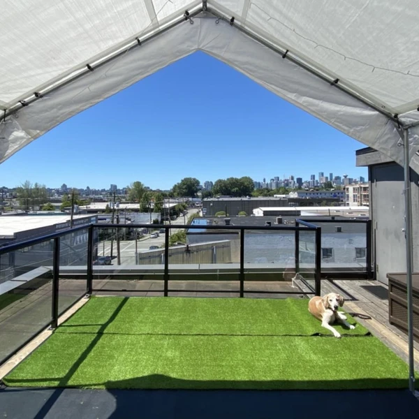 Rooftop with Panoramic view in East Vancouver