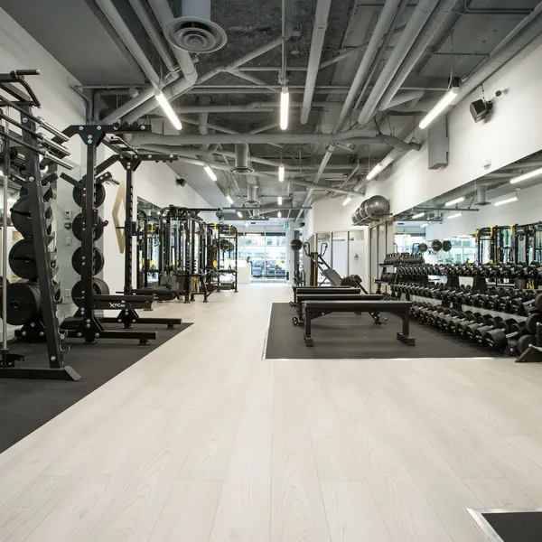 Beautiful Boutique Fitness Studio/Gym