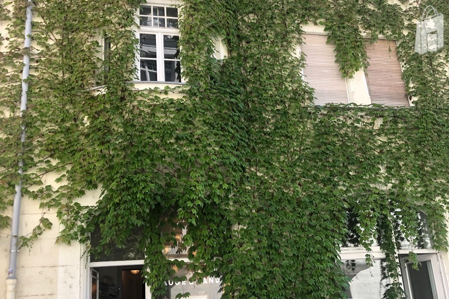 Hausfassade (linker Laden)