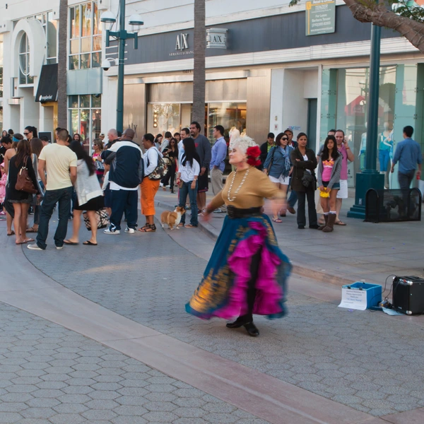 Perfect shop in Santa Monica area