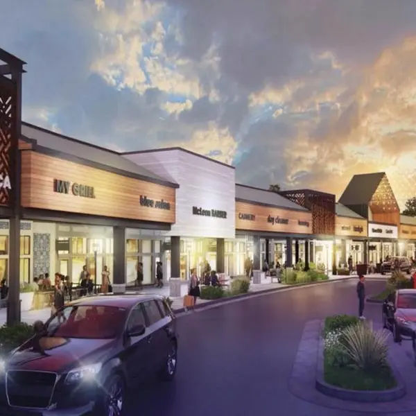 Classic store in Mclean area