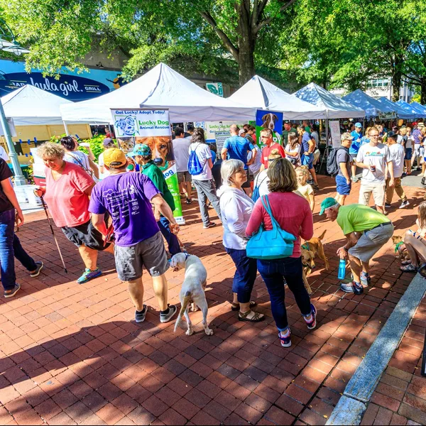 Classic boutique in Arlington