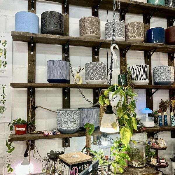 decorated retail space on Union Street, Schenectady