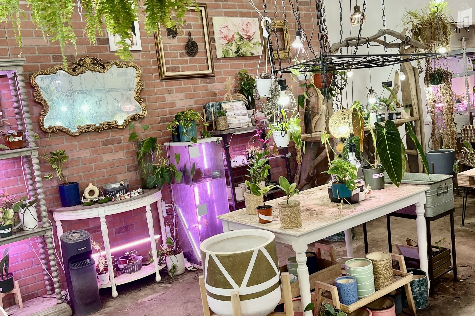 brick decorated wall