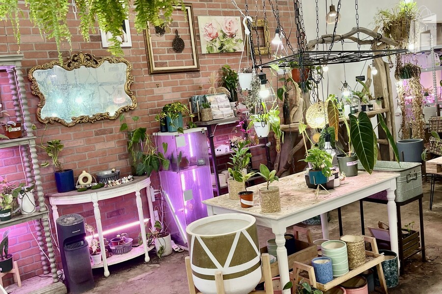 brick decorated wall