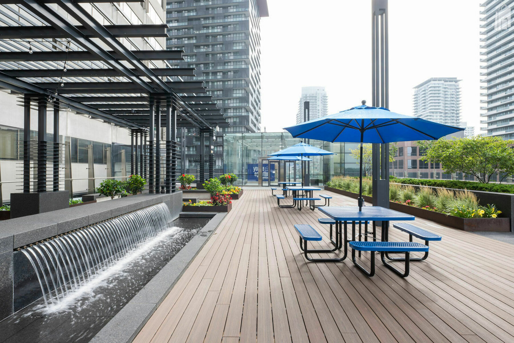 The Patio: A Rooftop Retreat 
