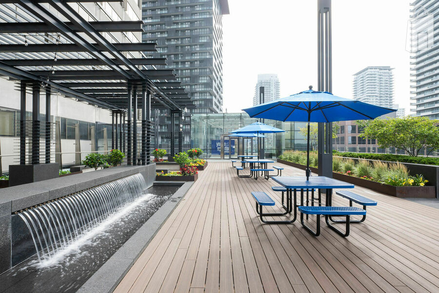 The Patio: A Rooftop Retreat 