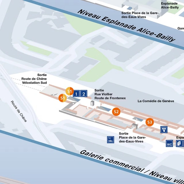 Verteilpunkte im Bahnhof Genève Eaux-Vives