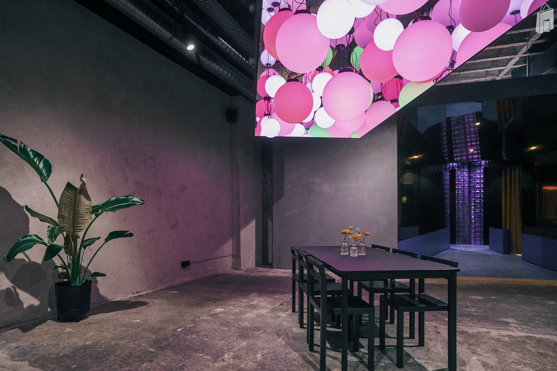 7. Pop-up Location München – Intimer Raum mit Designstühlen und Betonwand im fancyrosi.studio.