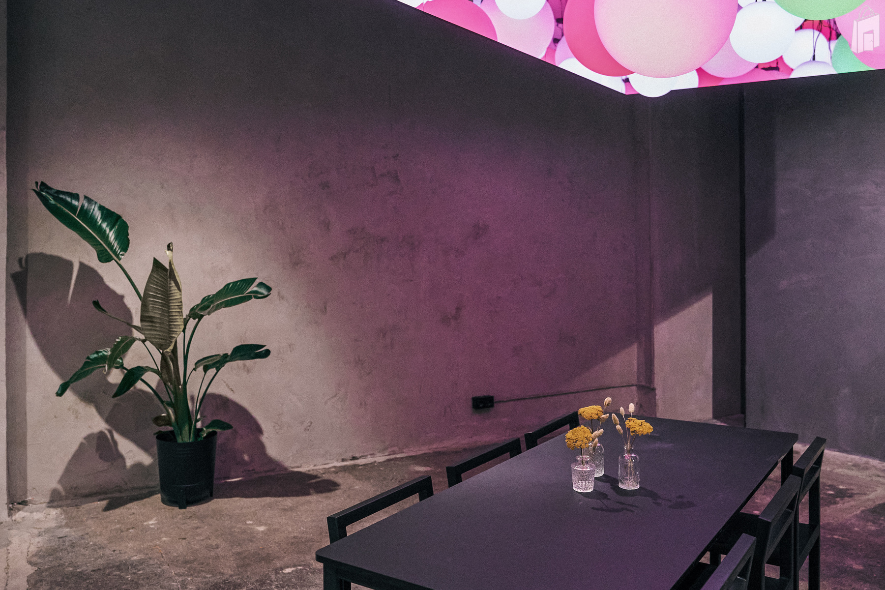 8. Eventlocation München Altstadt – Balloninstallation in Pink im fancyrosi.studio, perfekt für Launches.