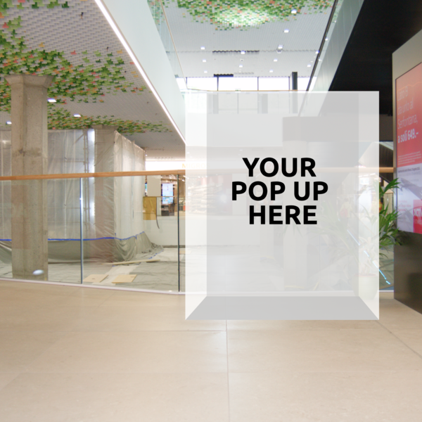 Centro Serfontana, Piano superiore C004