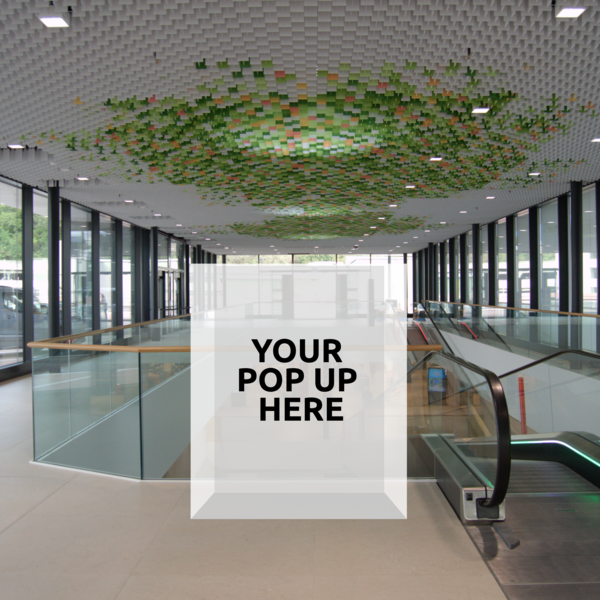 Centro Serfontana, Piano Terrazza D004