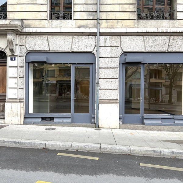 Double arcade de 85 m2 au coeur des Eaux-Vives