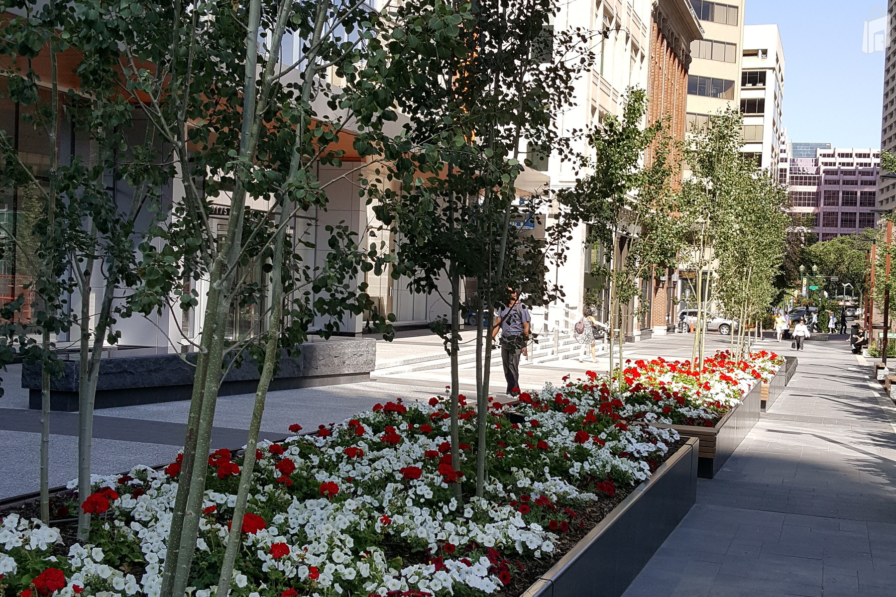The Plaza
