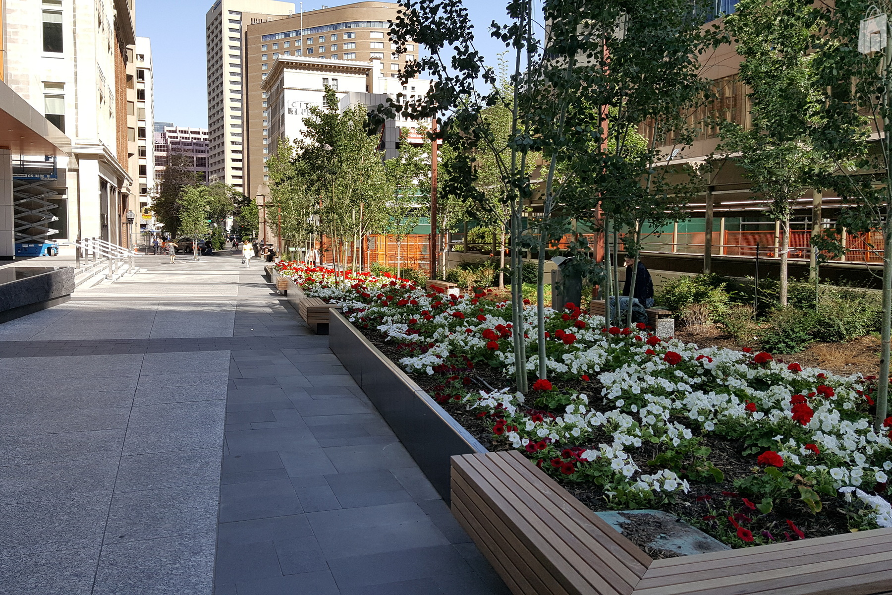 The Plaza