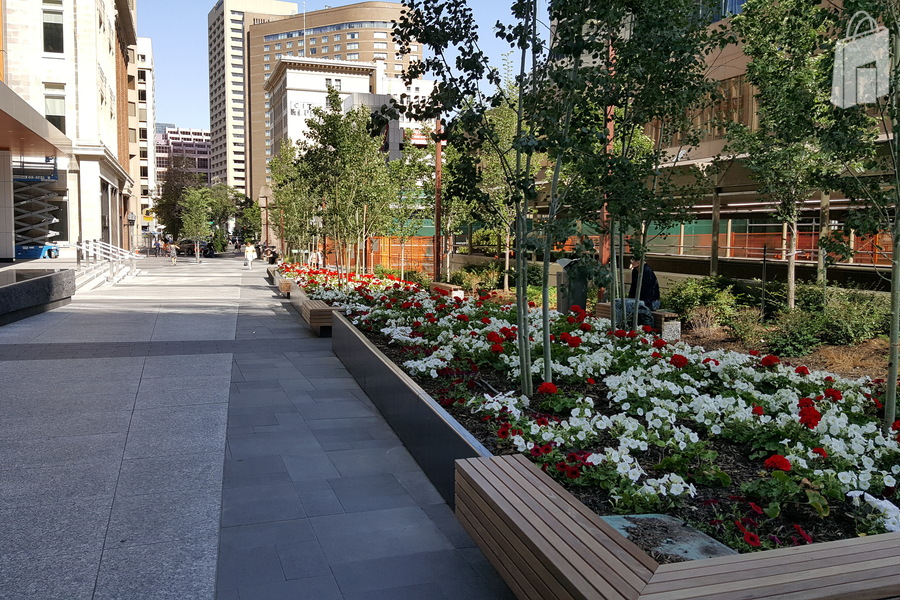 The Plaza