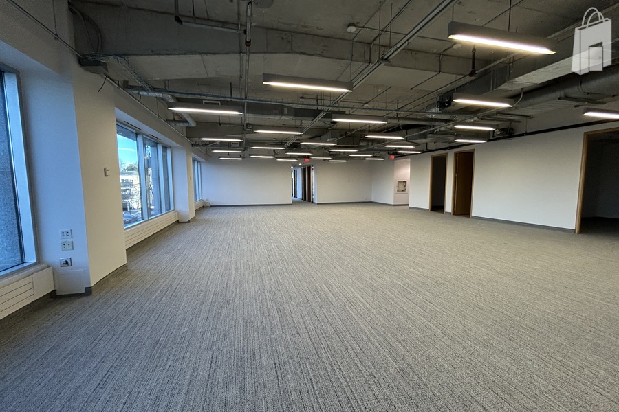 Suite 203