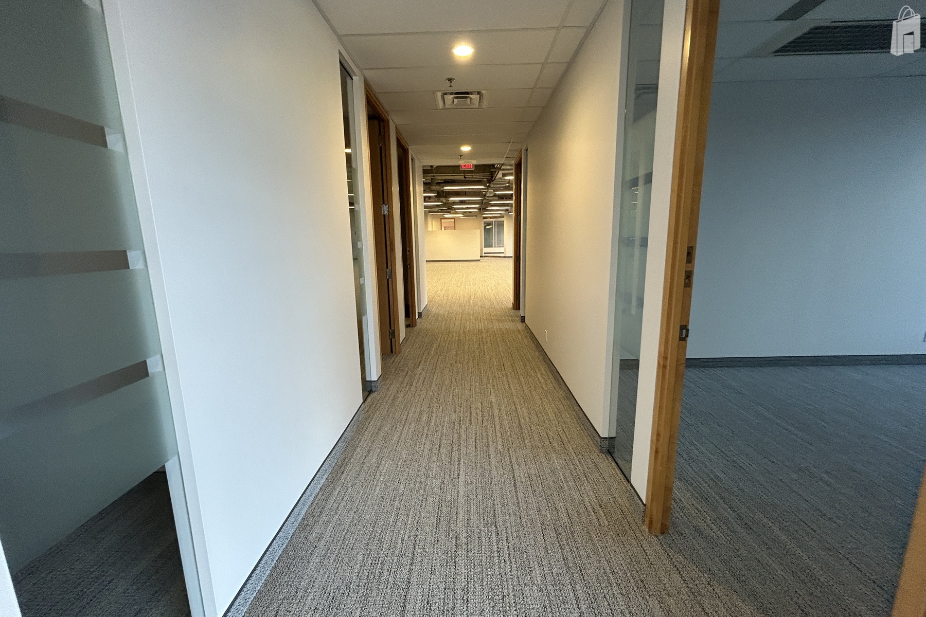 Suite 203