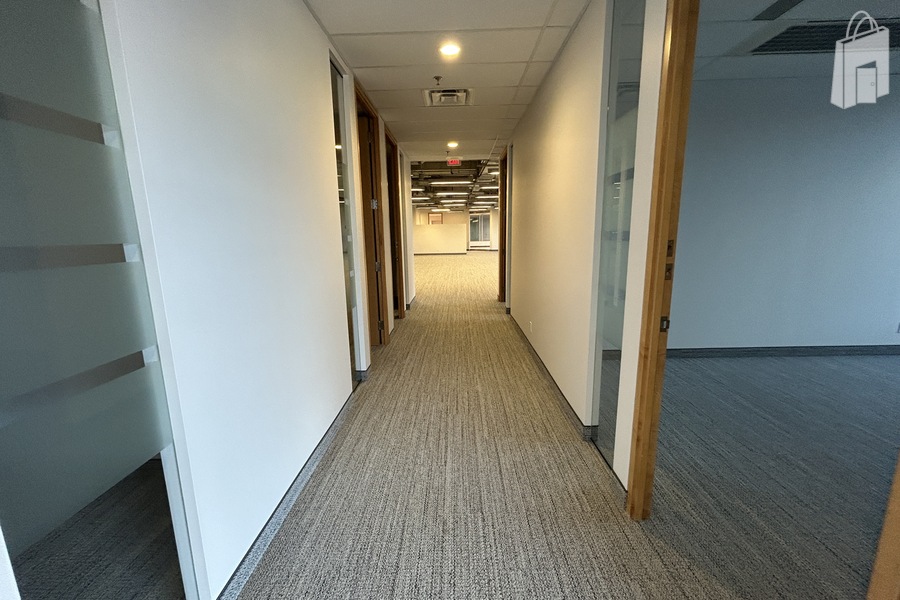 Suite 203