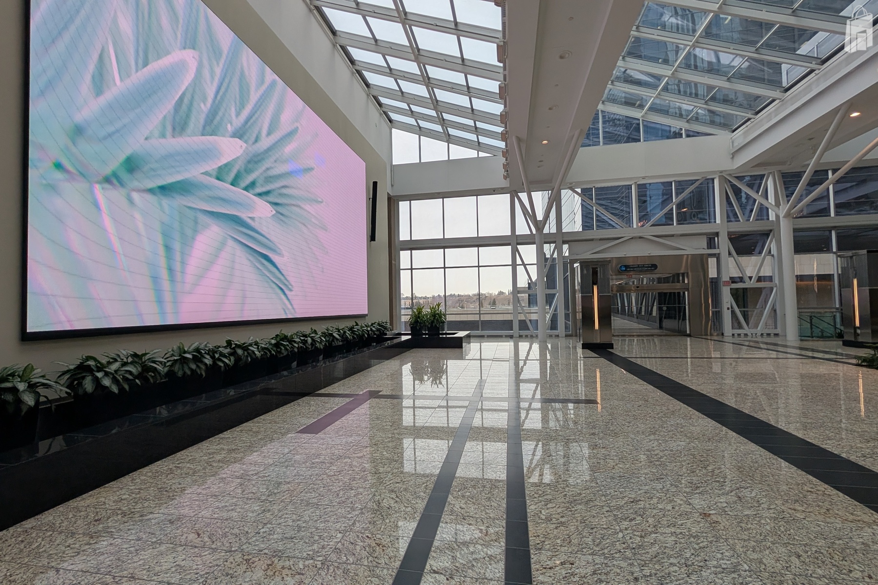 Jamieson Large Promo