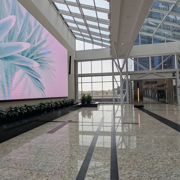 Jamieson Place - Large Promo Court