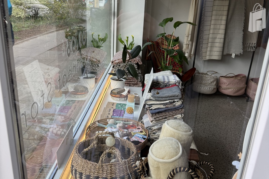 Window 