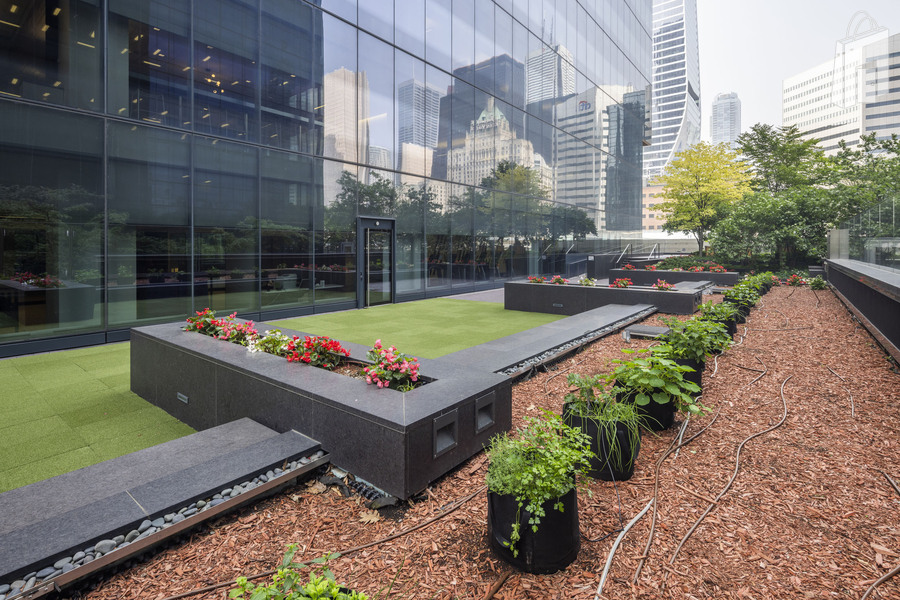 SFC PATIO