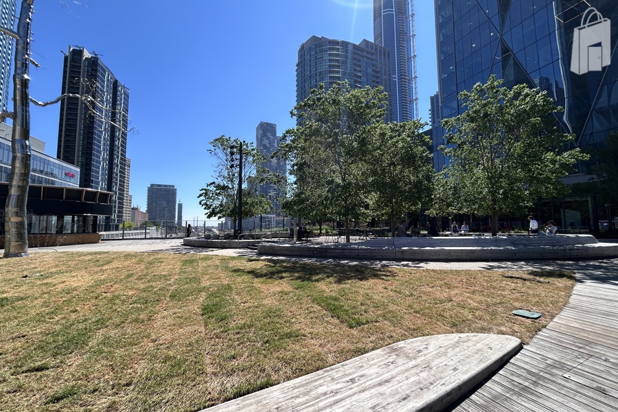 The Park