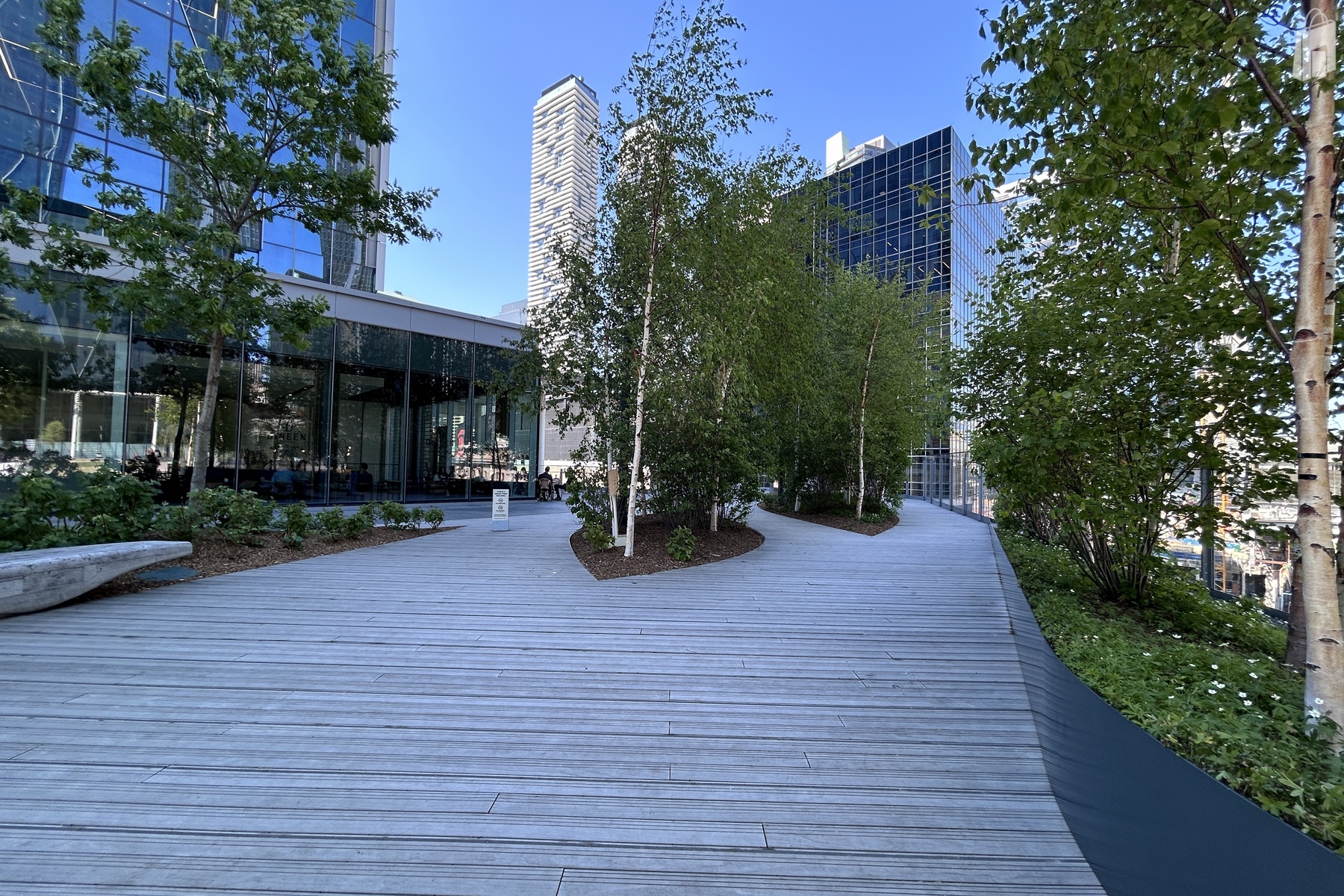 The Park
