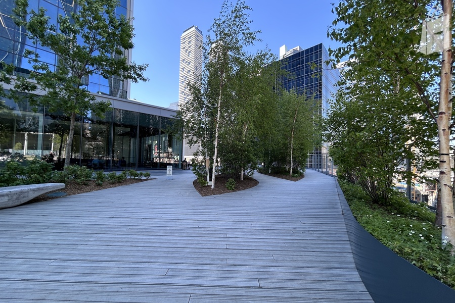 The Park