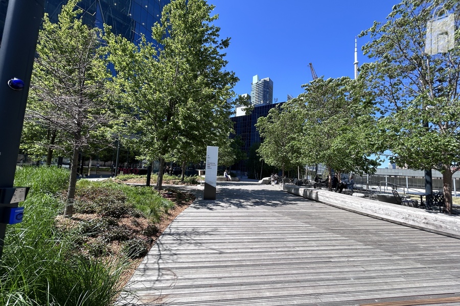 The Park