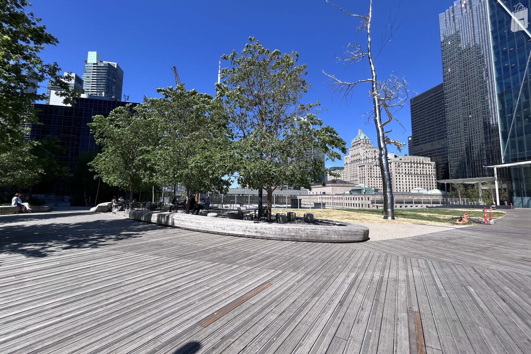 The Park