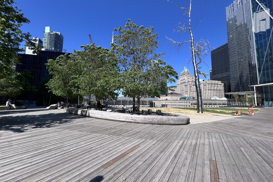 The Park