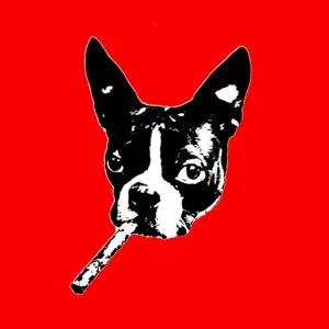 Not Another GALLERY!